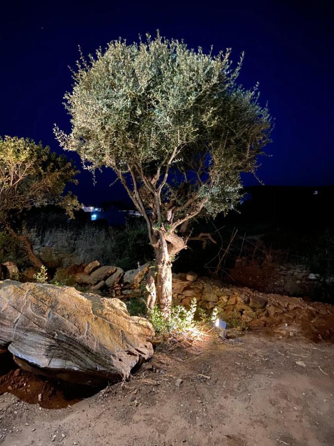 Spanos Apartments Áyios Pétros エクステリア 写真